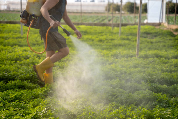 Best Wildlife Control Services  in Lincoln City, OR
