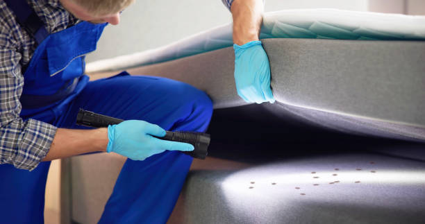 Best Cockroach Control Services  in Lincoln City, OR