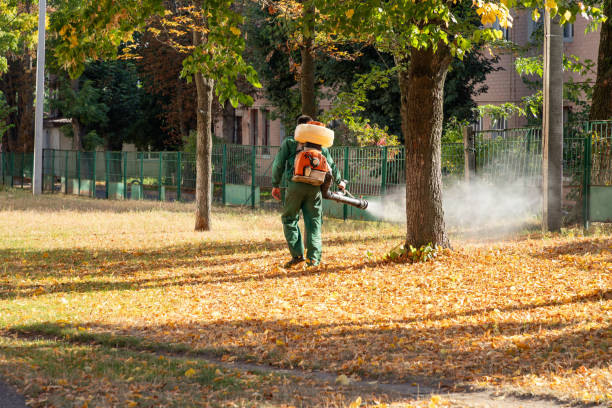 Best Rodent Control Near Me  in Lincoln City, OR
