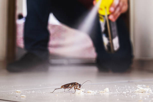 Best Mosquito Control Services  in Lincoln City, OR